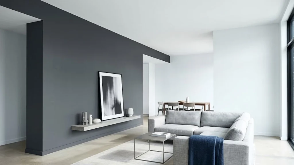Stark Gray and Cool White Paint