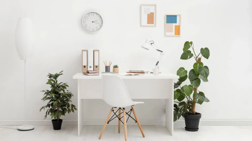 Workspace Setup