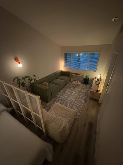 Translucent Room Dividers and Streamlined Sectionals