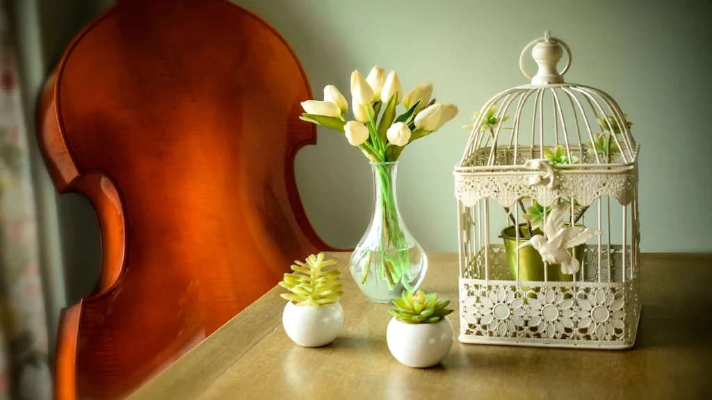 Zero Dollar Decor Tricks to Furnish Airbnb Under 1000