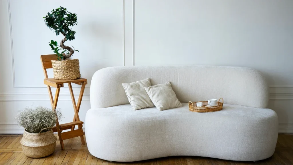 Soft Fluid Furniture Shapes Dominate Seating