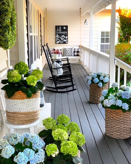 Hydrangeas and Black Rockers on a Long Porch