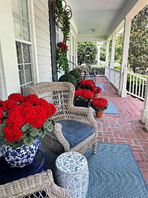 Red Geraniums with Blue-and-White Accents